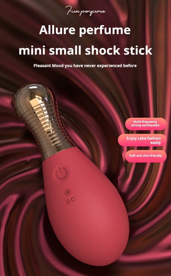 Vibrating Egg 10 Frequency Remote Control Vibrating Egg Sex Machine Vibrator - Image 2
