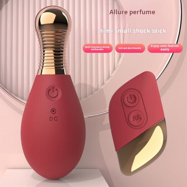 Vibrating Egg 10 Frequency Remote Control Vibrating Egg Sex Machine Vibrator - Image 7