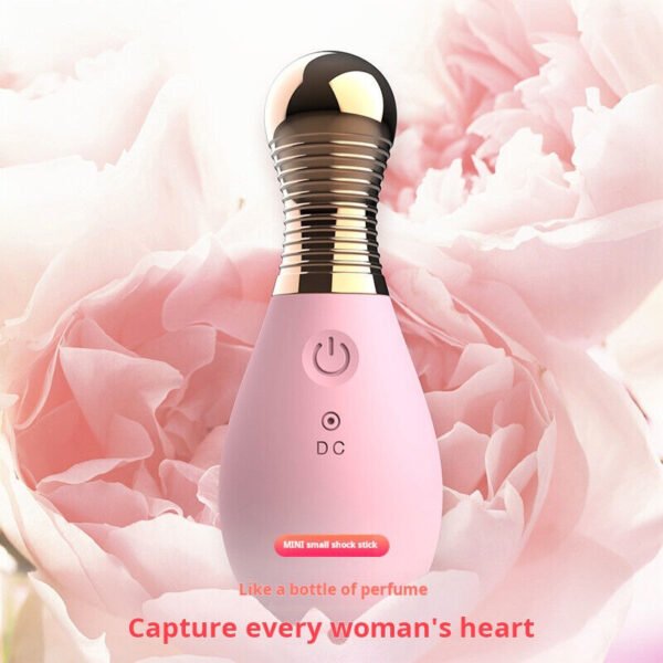 Vibrating Egg 10 Frequency Remote Control Vibrating Egg Sex Machine Vibrator - Image 8