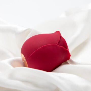 Happy Meeting - Rose Shaped Mini Massager for Relaxation and Relief