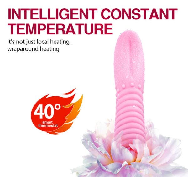  - Image 6